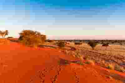 Namibie - le Grand Tour