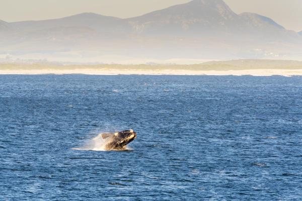 Route des Baleines