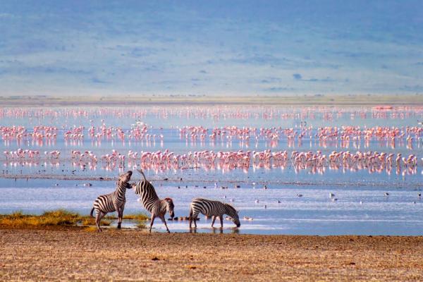 Trésors Cachés de Tanzanie