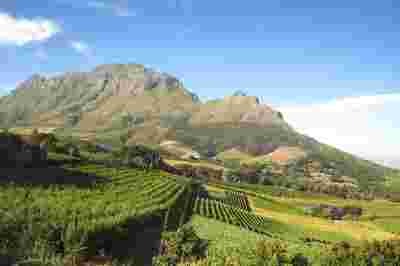Route des Vins