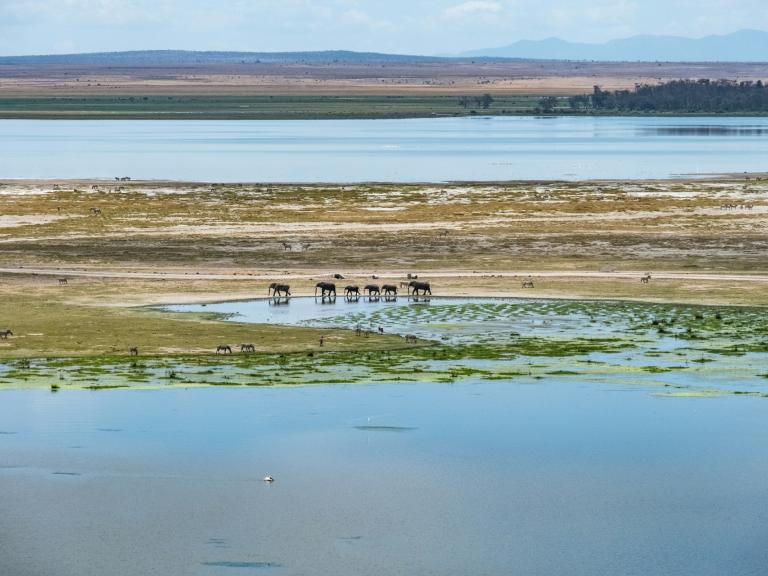 Masai Mara & plages de l’océan Indien, 8 jours Masai Mara & plages de l’océan Indien, 8 jours