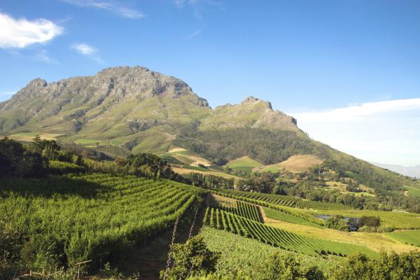 Route des Vins 