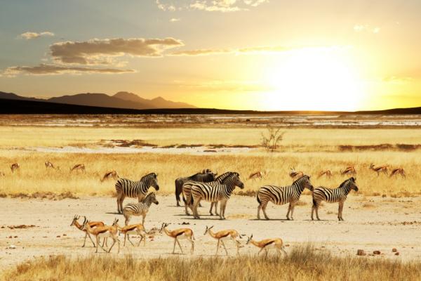 La Route Namibienne